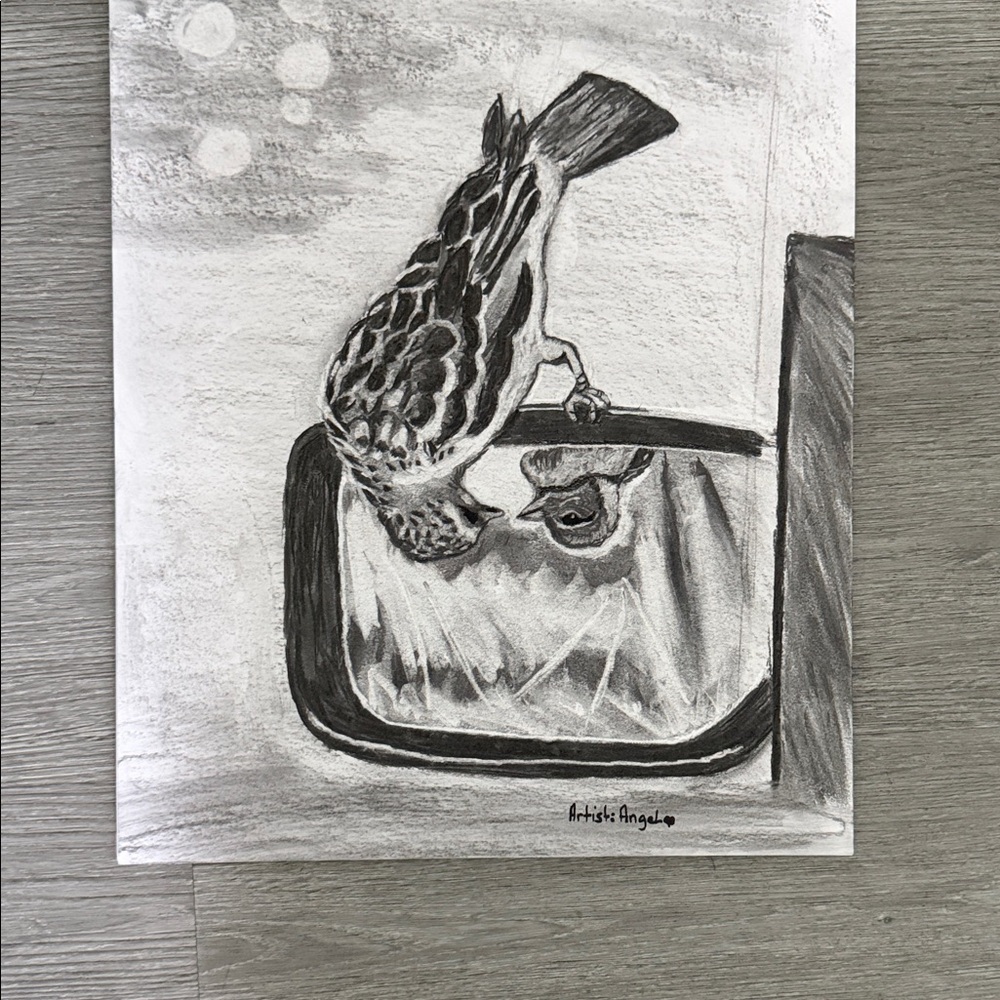 Bird charcoal Sketch Art Print